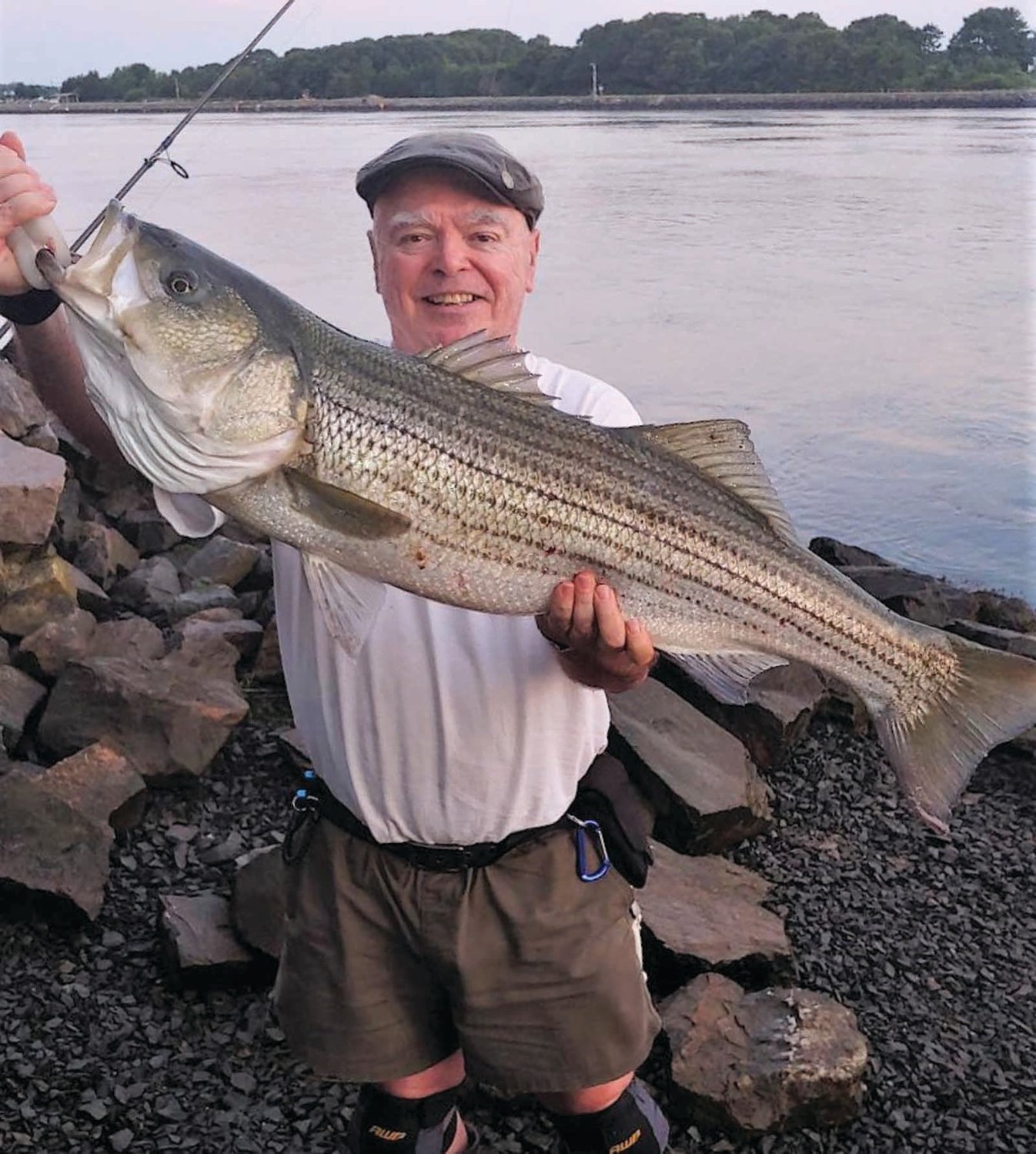 STRIPED BASS: East End Eddy Doherty with a Cape Cod Canal striped bass. Massachusetts anglers alone spend $600-million annually to pursue striped bass says a Division of Marine Fisheries study. (Submitted photo)